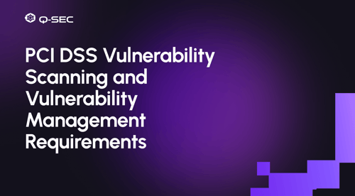 PCI DSS Vulnerability Scanning and Vulnerability Management Requirements