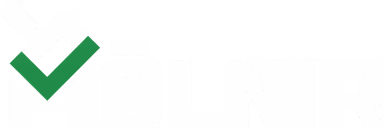 Mölnir — official audit partner